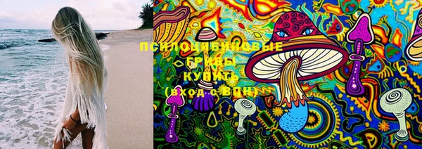 прущий лед Алексеевка