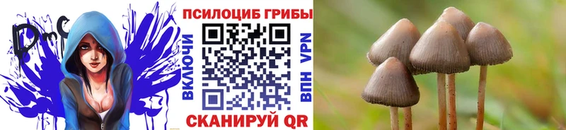 Галлюциногенные грибы Magic Shrooms  наркошоп  Пласт 
